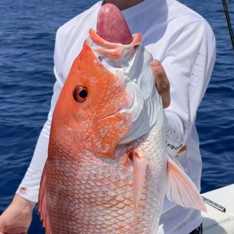 Barotrauma Return 'Em Right