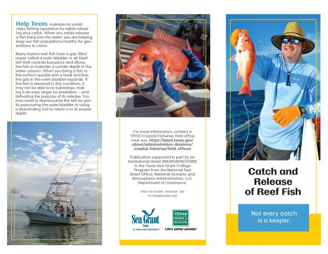 Catch and Release of Reef Fish - Texas Sea Grant
