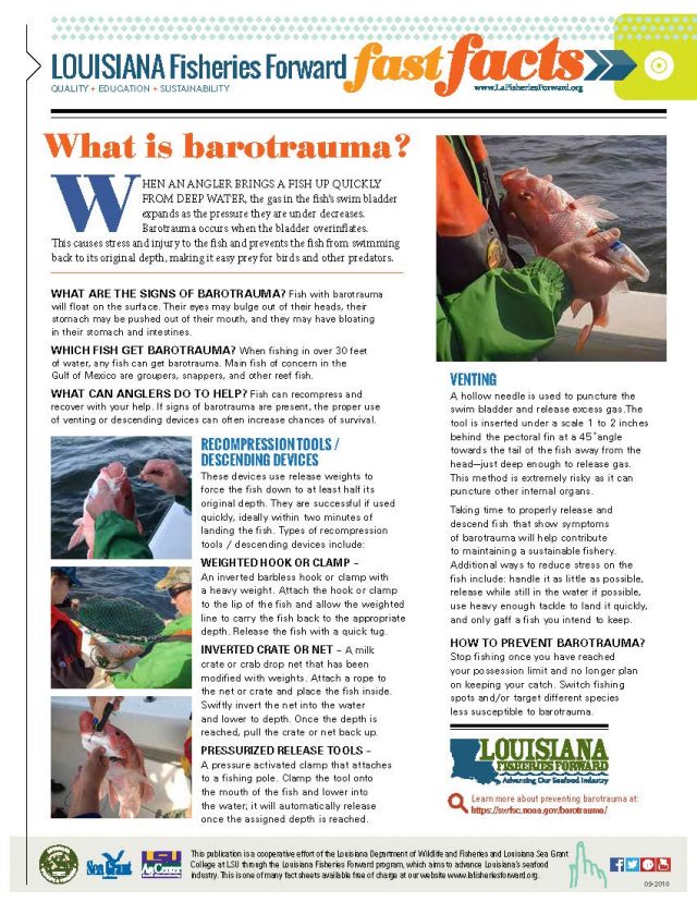 What is barotrauma? - Louisiana Fisheries Forward Fast Facts