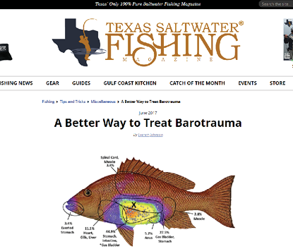 Texas Saltwater Fishing