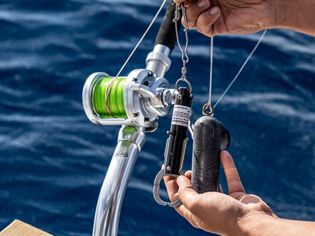 Photo of a person holding a descending device and 3 pound weight rigged to a fishing pole