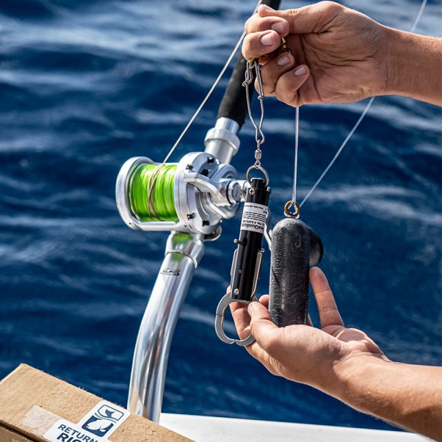 Photo of a person holding a descending device and 3 pound weight rigged to a fishing pole