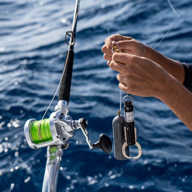 When releasing reef fish, using the right tool with the right technique  makes a difference