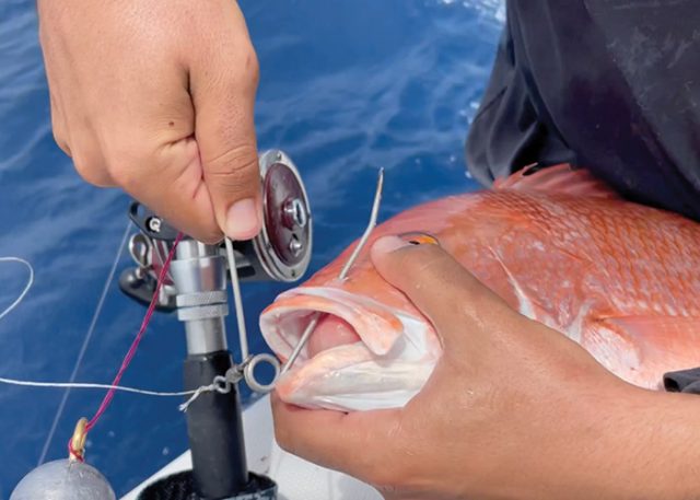 Safe Release Weight- Descending Device - Fish Release Tool - Fish Saver