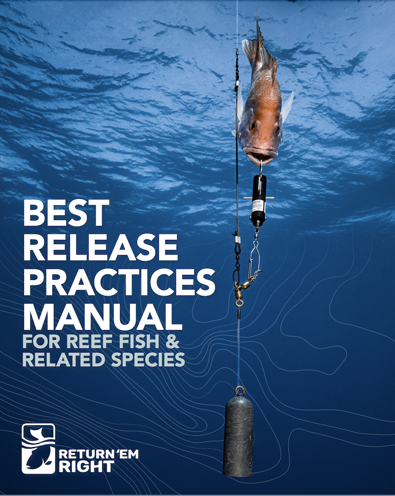 Cover photo of best release practices manual.