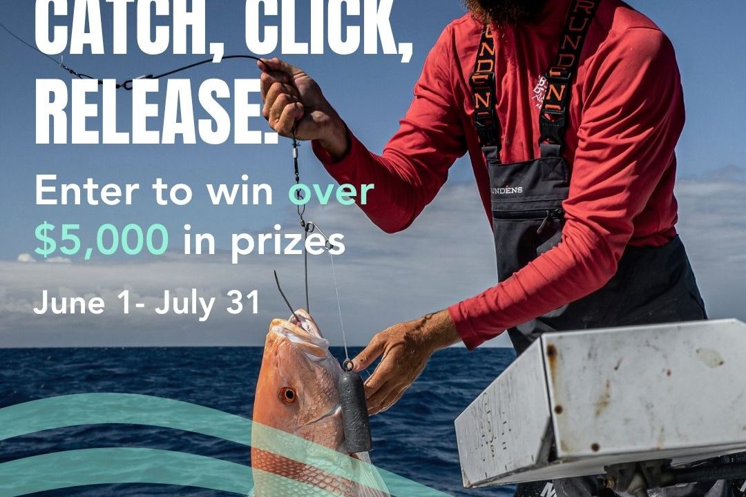 2nd Annual Catch, Click, Release Contest