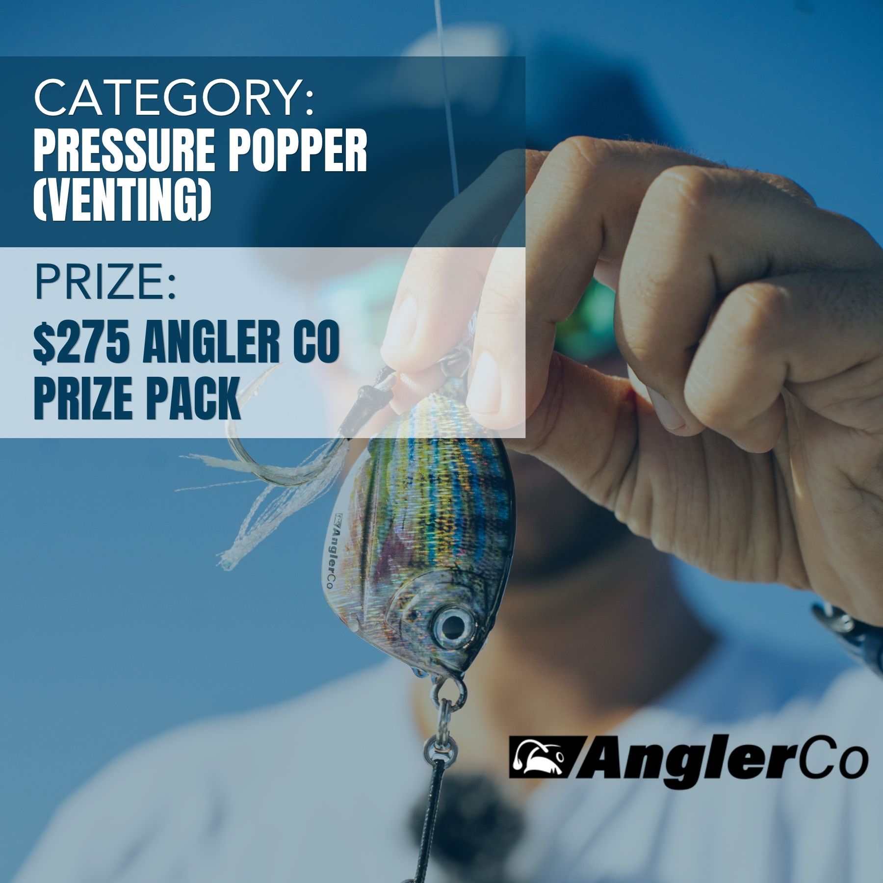 Graphic depicting prizes for the contest.