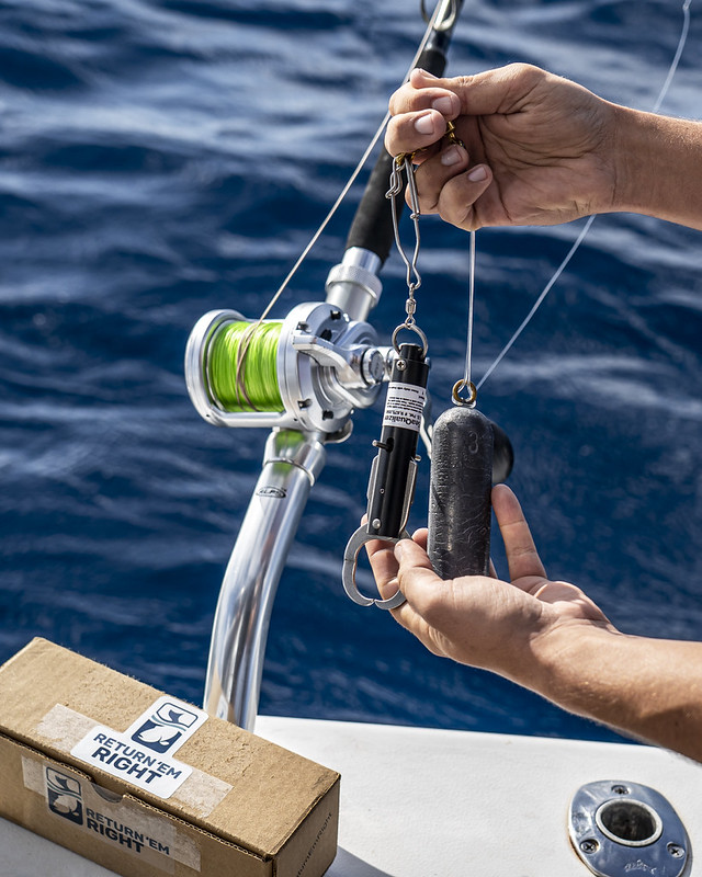A photo depicting an angler holding a descending device next to a fishing rod.