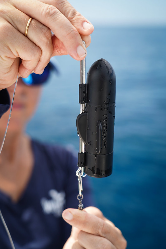 A person holding a specialized camera device that was used in the depredation study.
