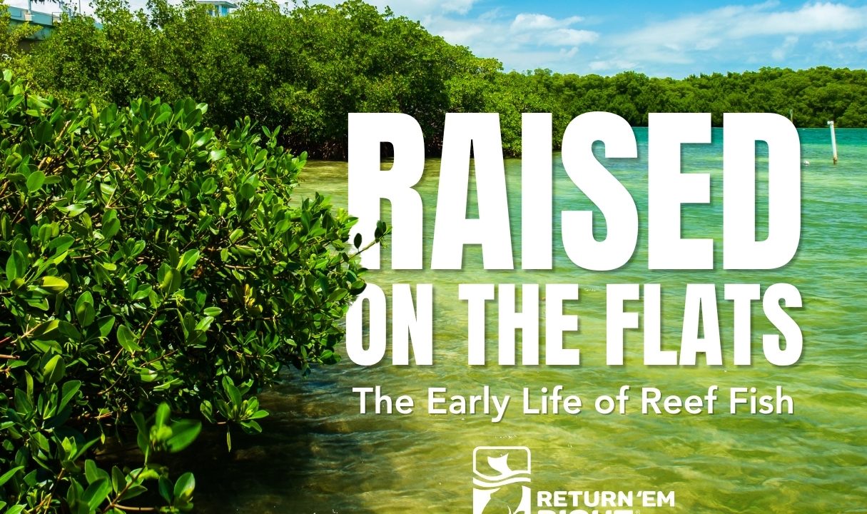 Raised on the Flats