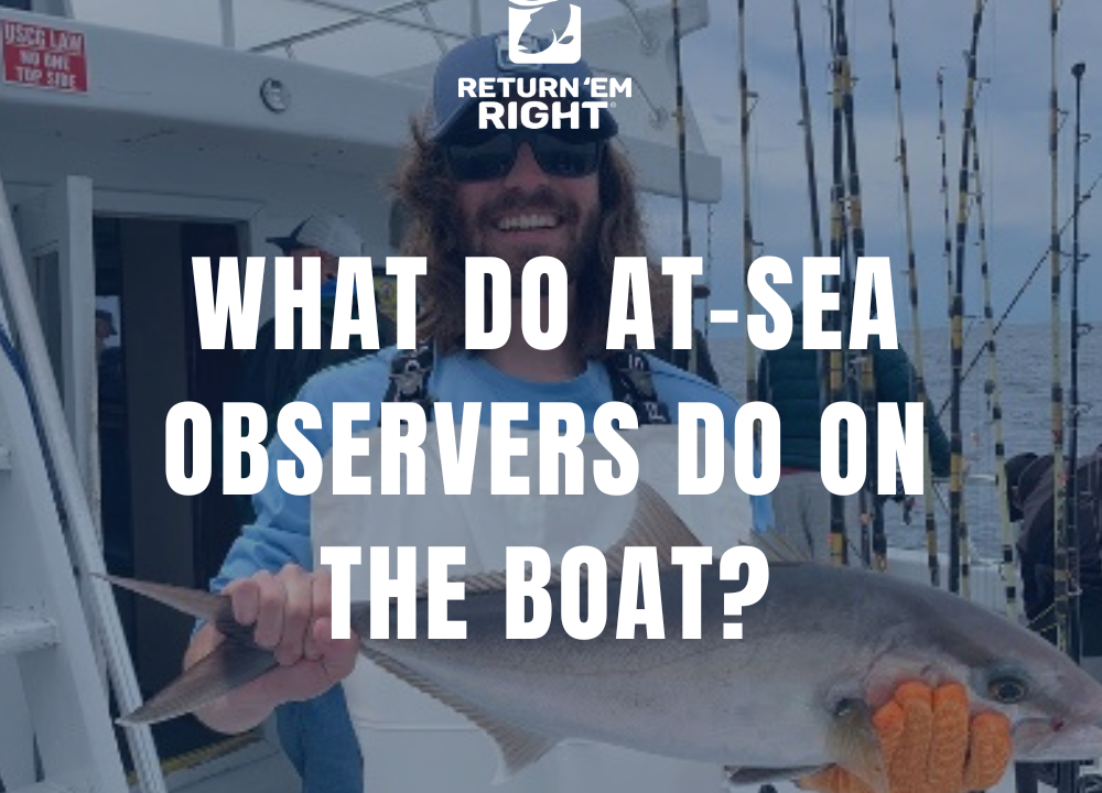 What Do At-Sea Observers Do on the Boat?