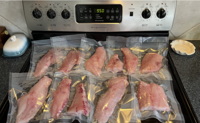 Fish filleted and vacuum sealed on a stovetop.